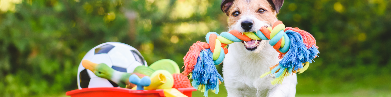 Untitled-design-2023-01-19T124727.837