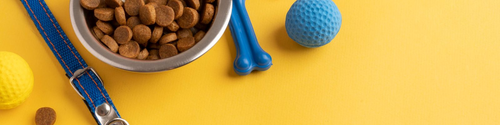 pet-accessories-still-life-concept-with-chew-ball